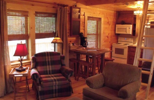 Elizabethton Cabin | Private Cabin on Watauga River Tri-Cities, TN. 1000 feet of private river front!