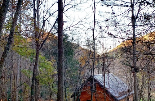 Butler House | Private cabin tucked away in the trees