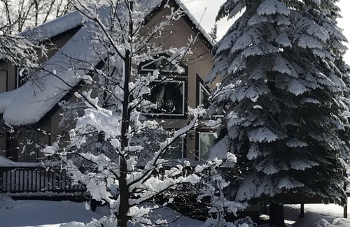 Mount Shasta Ski Chalet | Private Chalet with views and a Sauna