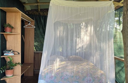 Puerto Jimenez Cabin | Private cabin with stunning views & home-cooked meals