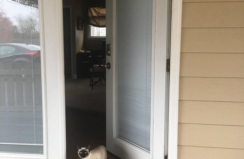 Nashville House | Private Entrance near Airport in Safe Neighborhood
