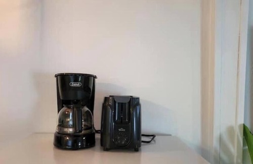 Historic Old Northeast Apartment | Private Garden Studio close to Downtown St Petes