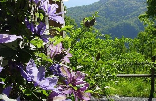 Asheville House | Private Gorgeous Mountain View Chalet- SUPER RATES