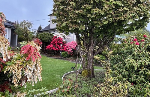 West Vancouver House | Private guest room with separate washroom and entrance