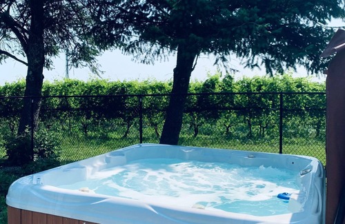 Niagara-on-the-Lake Other | Private home, hot tub, in-ground pool, vineyard views.
