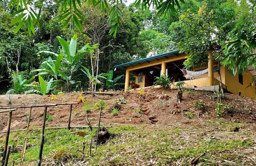 Platanillo House | Private House With Gorgeous Jungle View Lookout Near Nauyaca Waterfalls