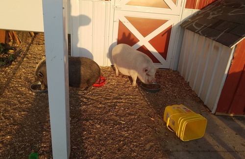 Ashland Apartment | Private loft on charming acreage between Omaha and Lincoln w/animal sanctuary.