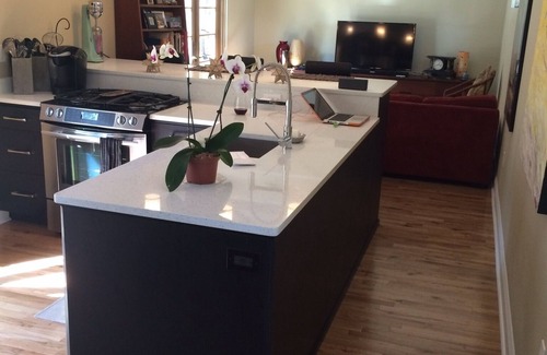 United Central House | Private, Mid-century-Modern, Decks, Gardens, Heated Pool, Priv. Outdoor Shower