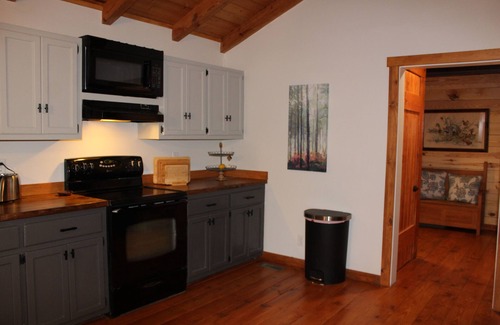 Cleveland Cabin | Private mountain cabin surrounded by Nat'l Forest! Visit wineries, hike the AT!
