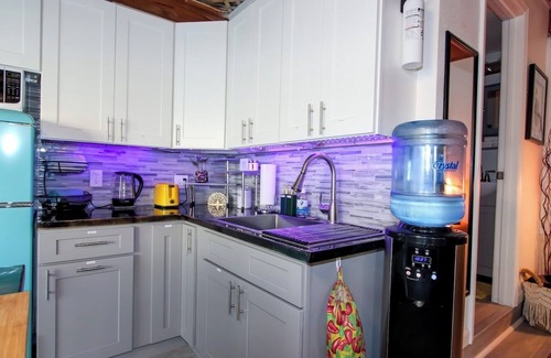 Palm Harbor Apartment | Private Oasis W/Pool Walk to Gulf, Fish, Bike Trail, & More!