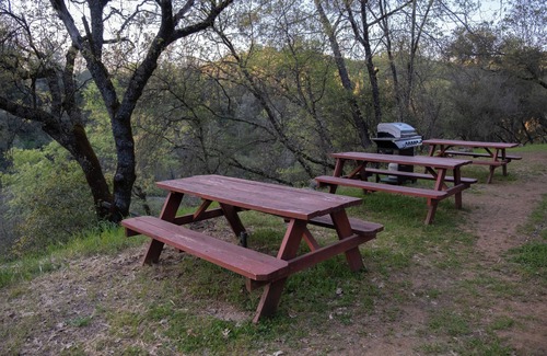 Auburn Cabin | Private, peaceful cabin's on the Bear River. Pets welcome!