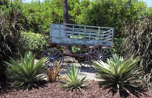 Escondido House | Private Ranch Estate - Fun & Relaxing at its best !