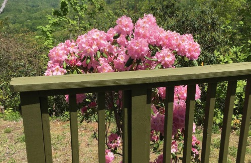 Balsam Cottage | Private Retreat with Gorgeous Mountain Views