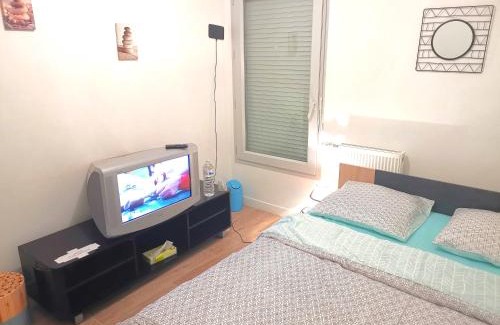 Les Mousseaux House | Private room CDG airport Parc Expo