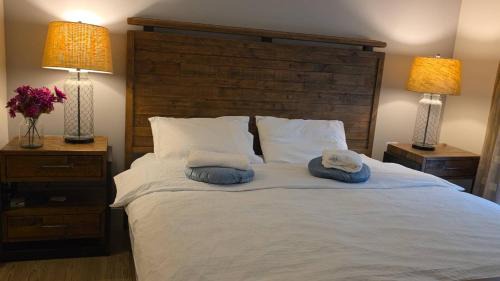 Vancouver House | Private Room in Vibrant Vancouver - with share living room and kitchen