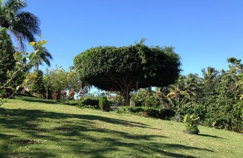 Cabrera House | Private studio with stunning ocean views at Villa Tranquila