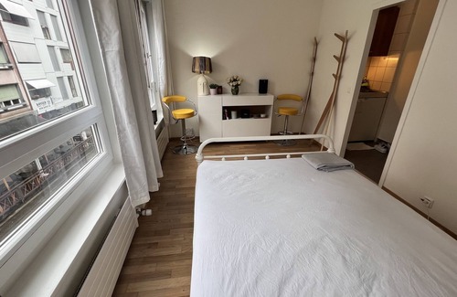 Downtown Geneva Apartment | Private Stylish Studio City Centre Paquis