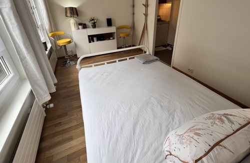 Downtown Geneva Apartment | Private Stylish Studio City Centre Paquis