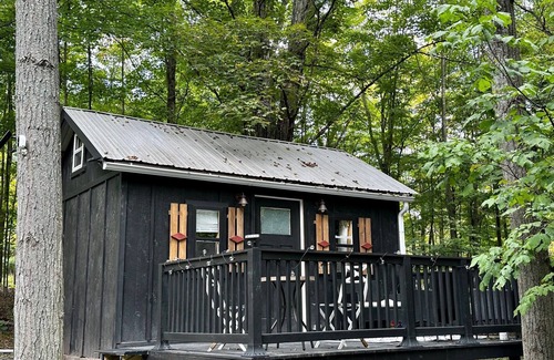Dushore Cabin | Private Tiny Cabin in Dushore! A Nature Lovers Dream