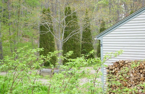 Isle of Springs House | Private Waterfront Vacation Home on Barters Island