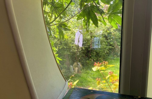 Glastonbury Cabin | Private whimsical cabin in centre of Glastonbury with secluded fairy garden