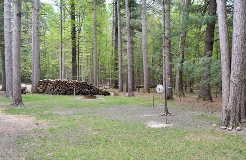Higgins Lake Cabin | Private wooded cabin on one+ acre less than 1 mile from beautiful Higgins Lake.