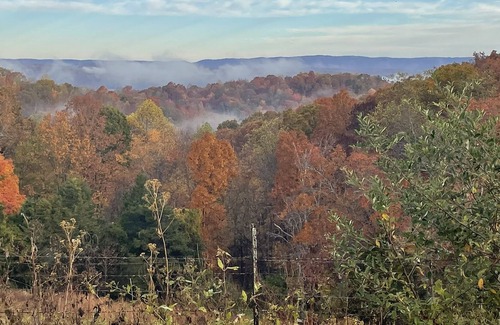 Andersonville Cabin | Private wooded log cabin -three minutes to Norris Lake
