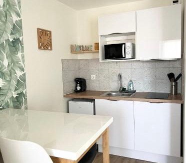 Pech-David Apartment | Proche CHU - Universités -parking privée , arrivée autonome, wifi - Rangueil