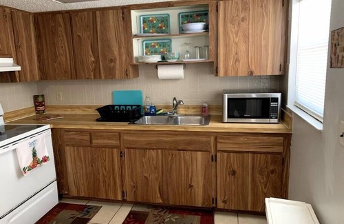 Crystal River Apartment | Professor Rousseau's Tiki Hideaway