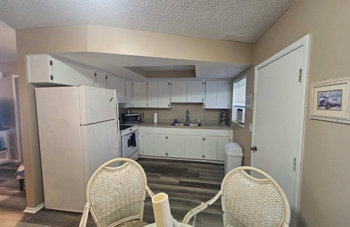 Crystal River Apartment | Professor Rousseau's Sea Turtle Sanctuary