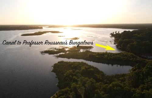 Crystal River Apartment | Professor Rousseau's Sea Turtle Sanctuary