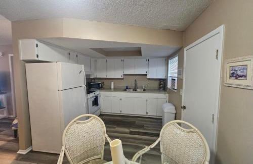 Crystal River Apartment | Professor Rousseau's Sea Turtle Sanctuary