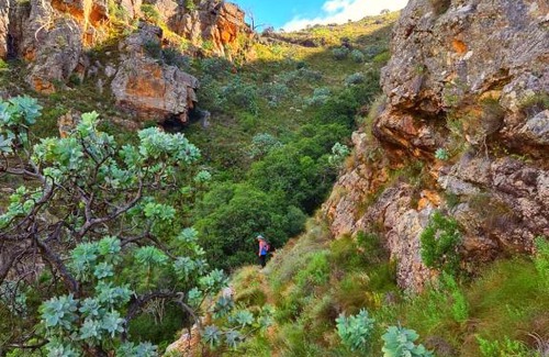 Cederberg Apartment | Protea Chalet