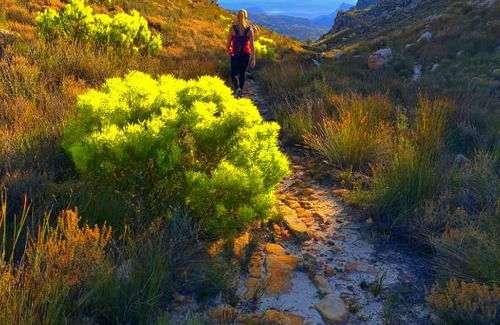 Cederberg Apartment | Protea Chalet