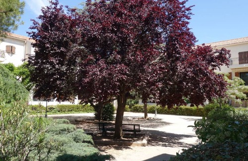 Saint-Cyr-sur-Mer Apartment | Provence Village 460.4