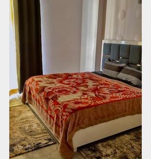 Greater Noida Apartment | Proview 3 Bhk colorful and cosy apartment