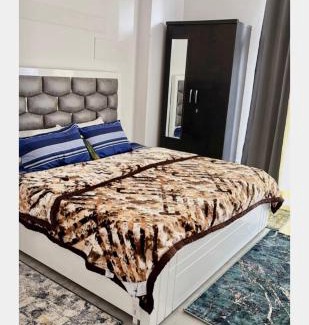 Greater Noida Apartment | Proview 3 Bhk colorful and cosy apartment