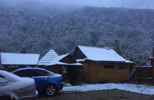 Yaremche Cabin | Pryvatna sadyba Svitanok