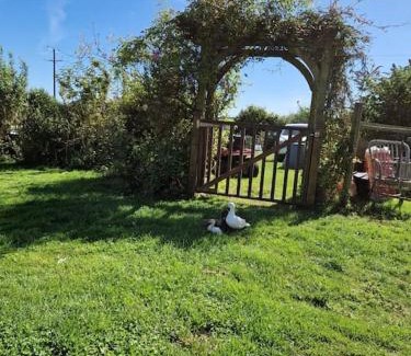 St. Martin Apartment | Puddle Duck Peeps Out Chalet