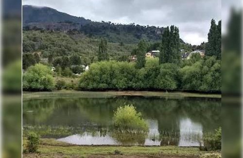 Villa Pehuenia Apartment | Puerto Fernández