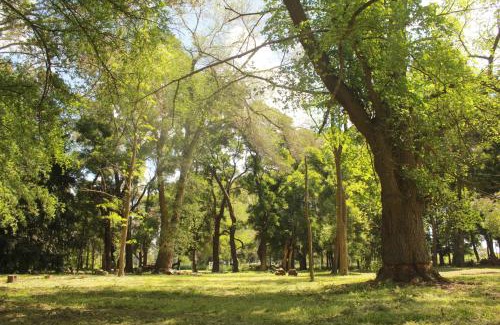 General Belgrano Other | Puilquen Posada de Campo - CAMPING