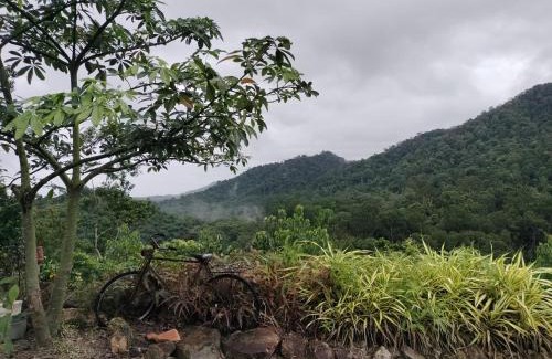 Pekan Nanas Other | Puncak CSA