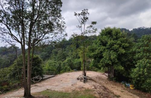 Pekan Nanas Other | Puncak CSA