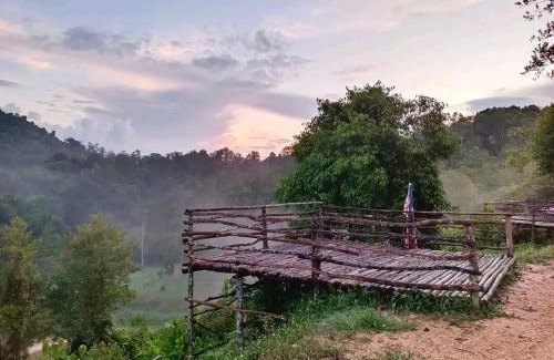 Pekan Nanas Other | Puncak CSA