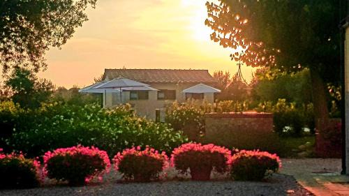 Riparbella House | Punta dei Lecci