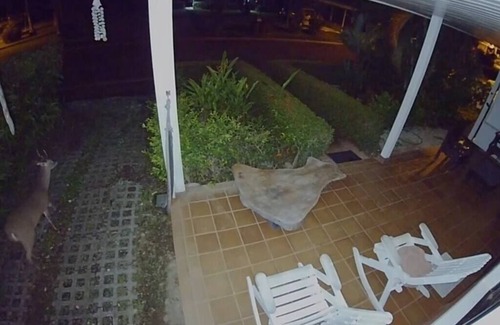 Tambor Villa | Pura Vida Villa! Beachfront Golf Club, 24/7 sec