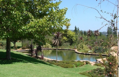 Stellenbosch Cottage | Pure indulgence on an olive farm surrounded by fynbos nature and vineyards