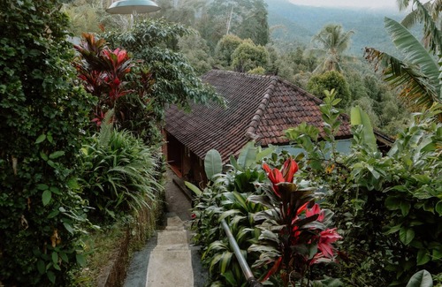 Munduk House | Puri Sunny Guesthouse