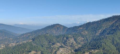 Nathuakhan Resort | Pushpanjali The Orchid Resort