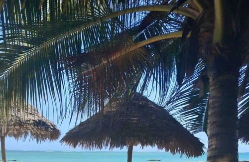 Pwani Mchangani Bed & Breakfast | Pwani Beach Lodge